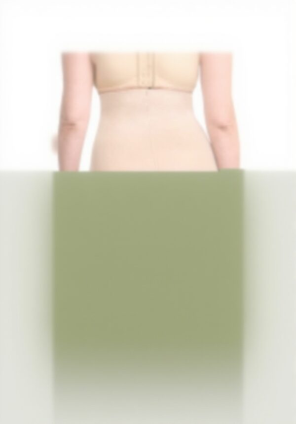 Chantelle Formgebender Miederslip Unsichtbar Nahtlos Damen