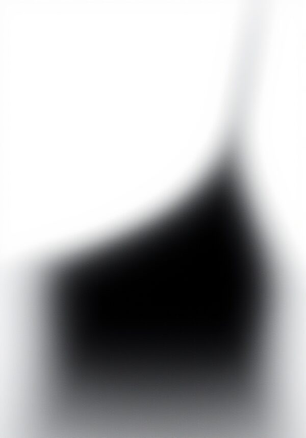 Unterkleider Chantelle Softstretch Damen nahtlos Komfort